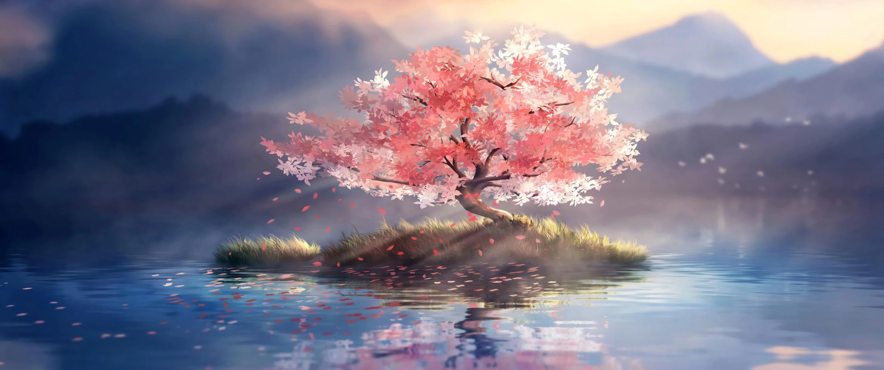 Wallpaper Preview