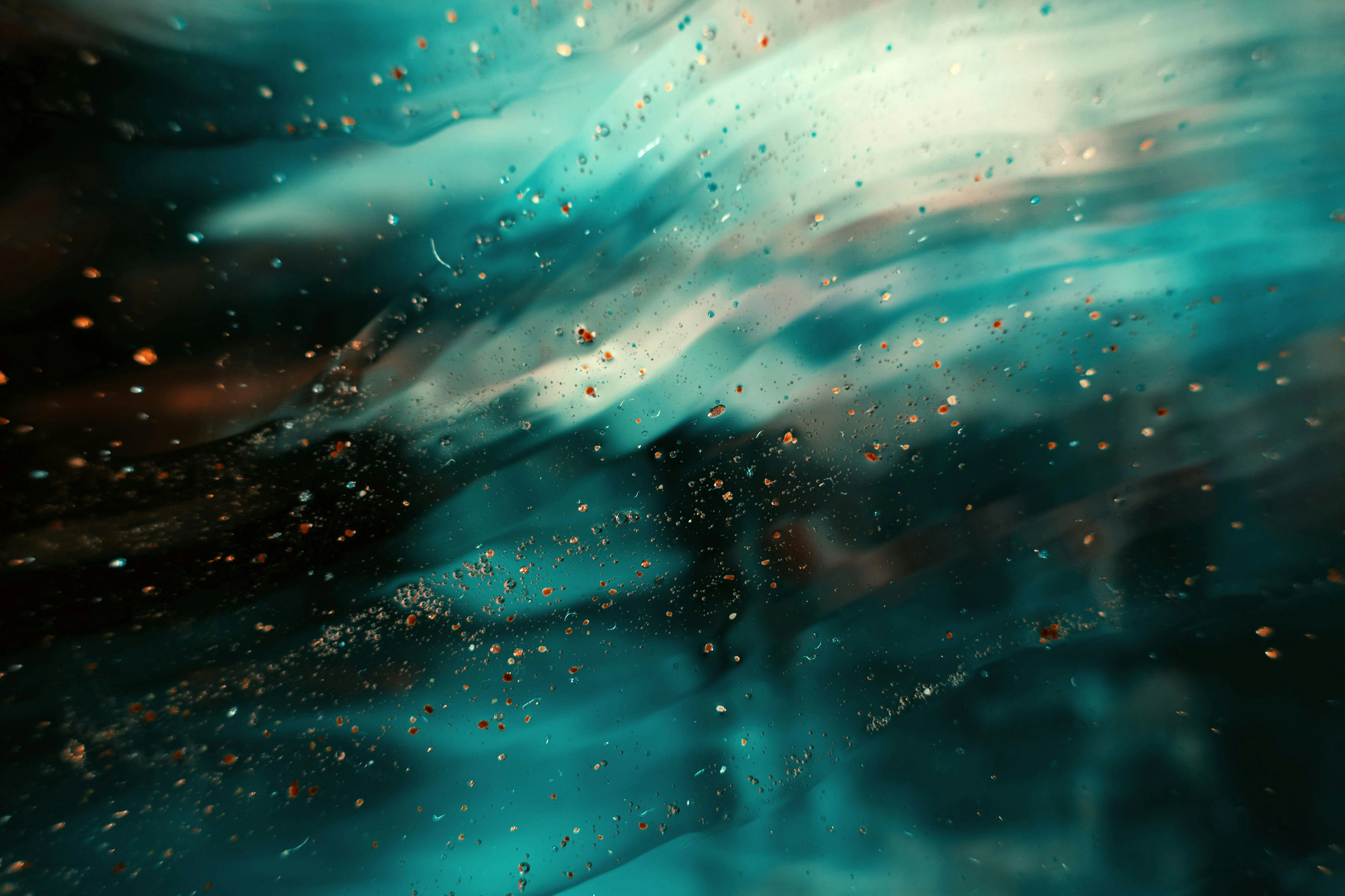Wallpaper Preview