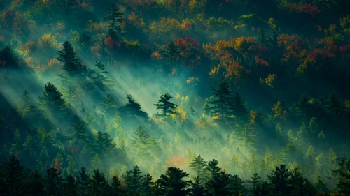 20231120_4UtKLZ_General_风景.jpg